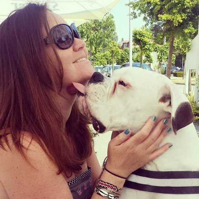 white boxer dog kiss woman