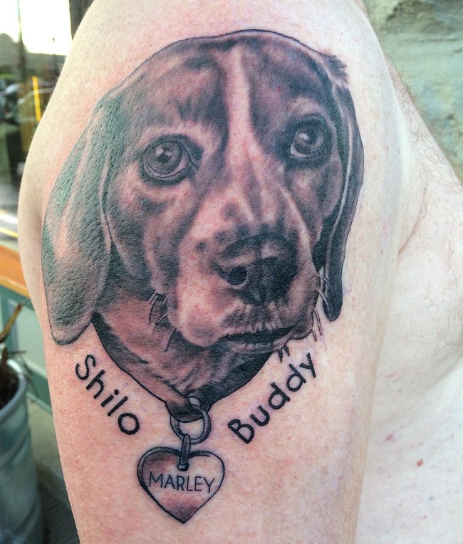 face beagle tattoo design art