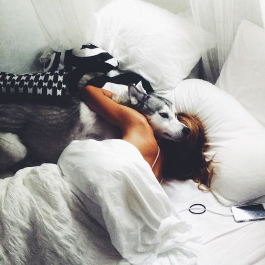 12 Realities That New Husky Owners Must Accept 10 husky cuddle