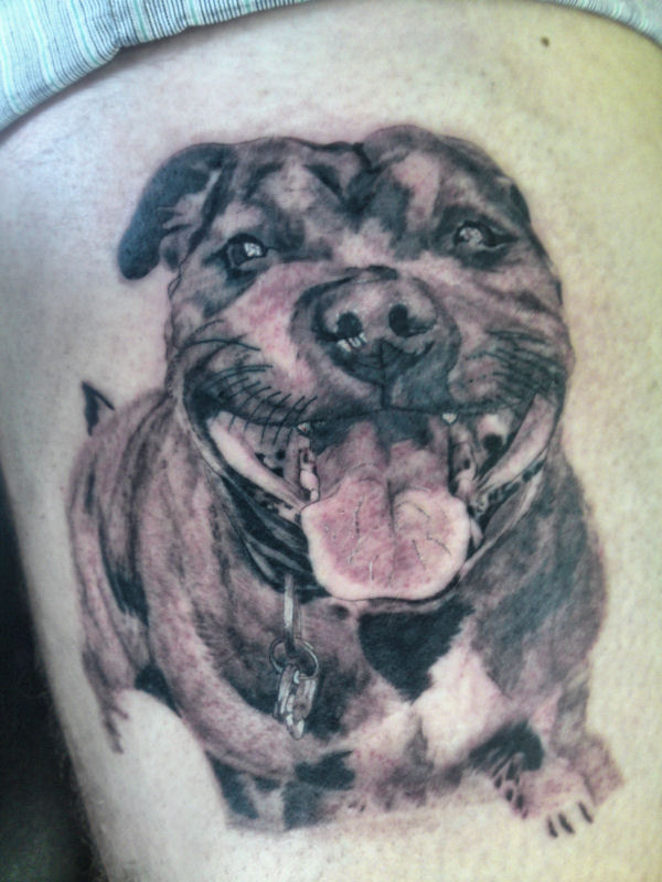 bull terrier tattoo design