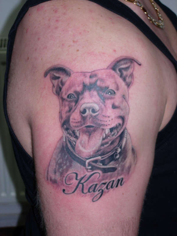 shoulder tattoo pit bull dog