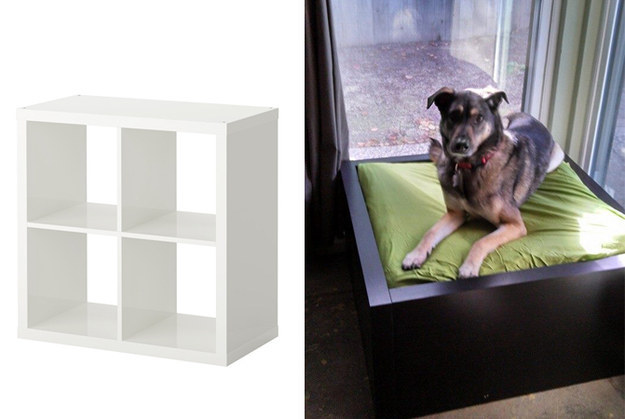 Ikea shelf for a super-modern dog bed.