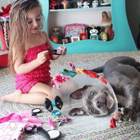 Pit-Bull-puppy-child_mini