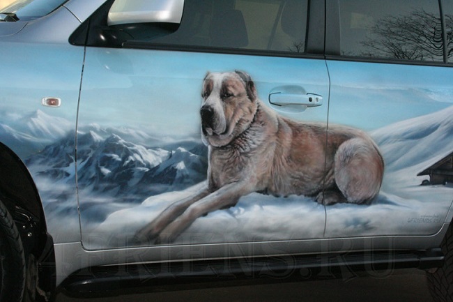 big dog on car painting
