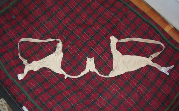 bra