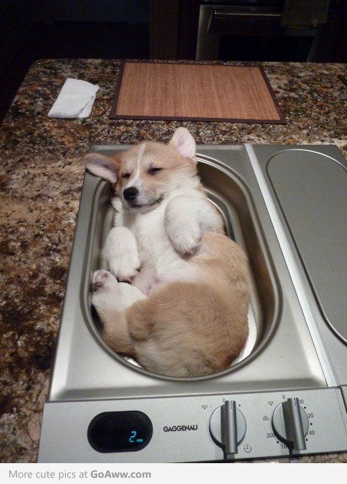 16 Hilarious Photos That Prove Can Sleep Absolutely Anywhere