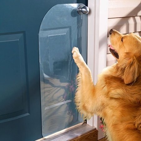 dog scratches the door door protector