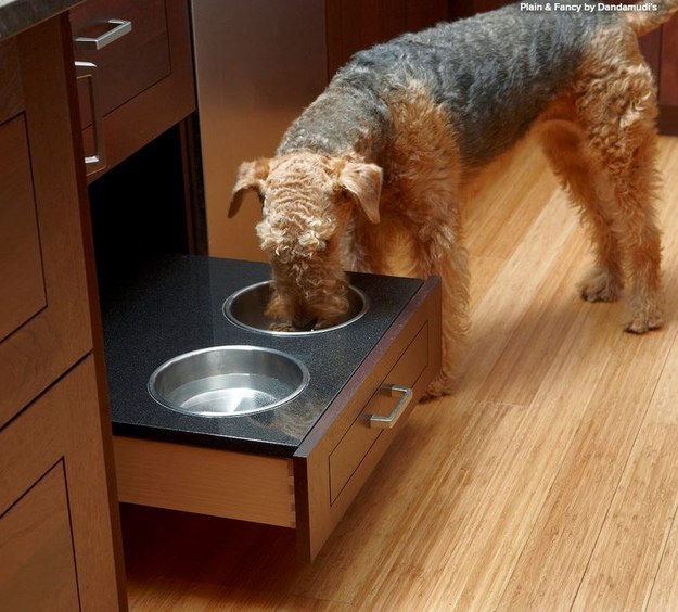 dog’s bowls in a bottom drawer.