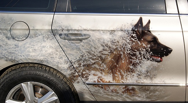 german shepherd painting car