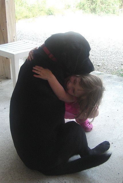 girl hugging labrador