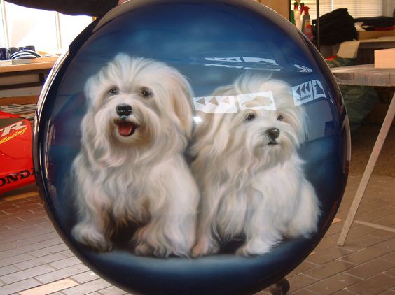 maltese car airbrush dogs