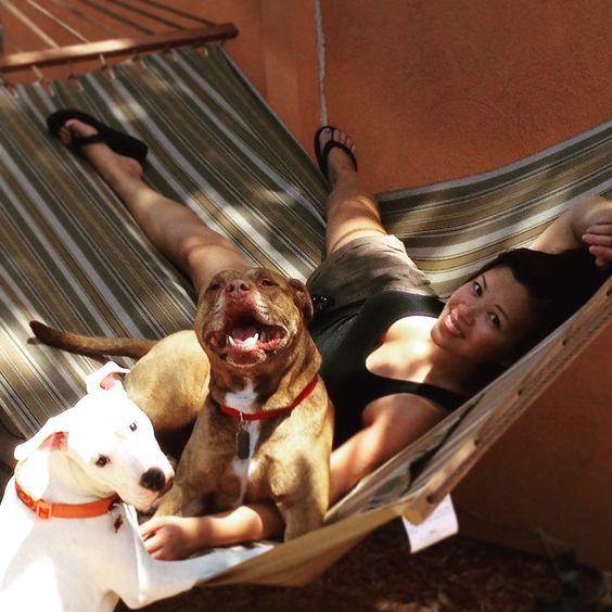 pit bulls hammock girl
