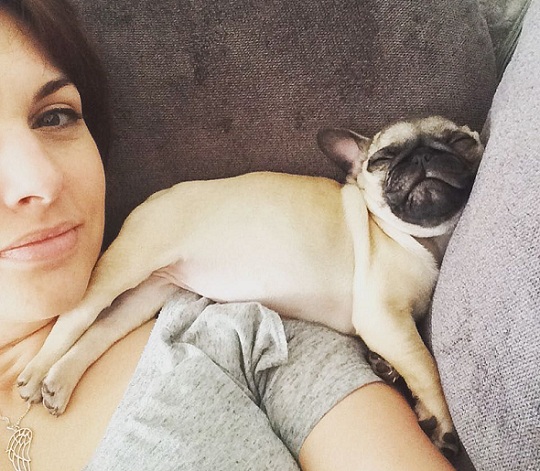 pug-puppy-sleeping