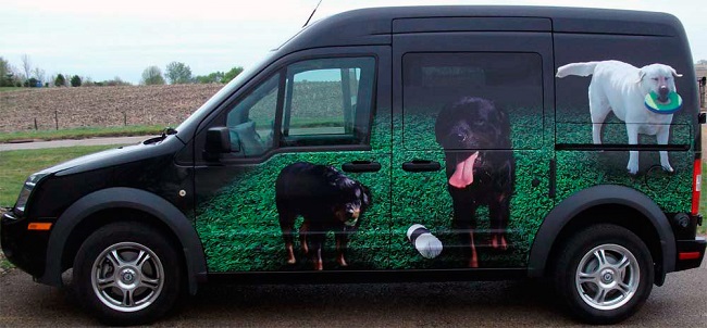 rottweilers lab airbrush car pics