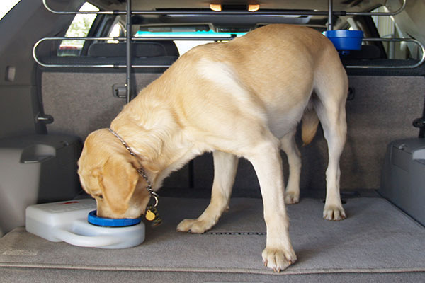 spillproof bowl.