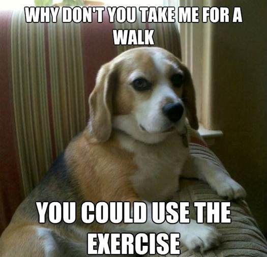 take me for a walk meme