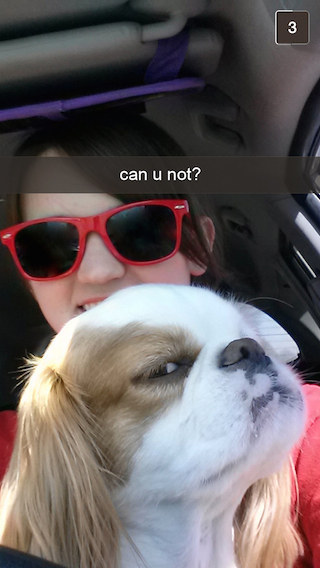 cute dog eyes woman