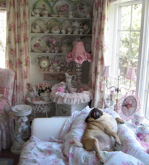 funny pug