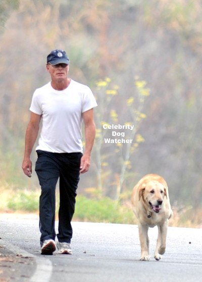 Actor Ed Harris took a morning walk on August 30th near his Malibu home with his dog.