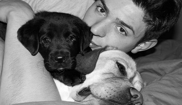 Every Man Should Have A Labrador (13 pics) 7