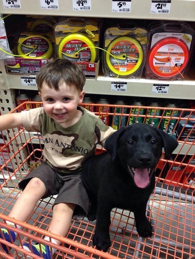 kid with black labrador puppy