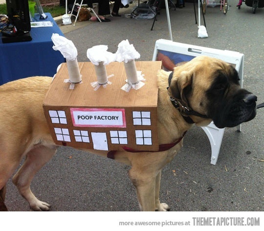 dog-halloween-costumes-mastiff