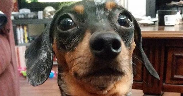 10 “Treat Faces” Too Ridiculous To Resist 8