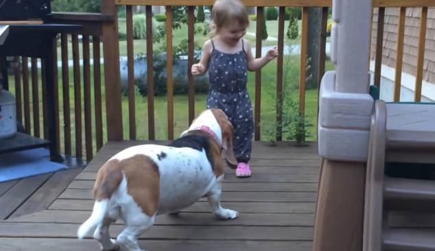 <strong>6 Types of People at a Dog Park</strong> 5