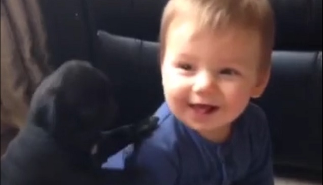 What CPS Can and Cannot Legally Do