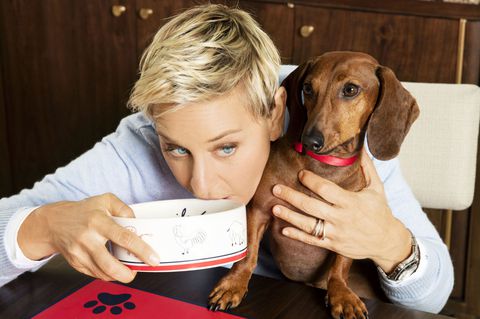 Why Having a Pet Helps Ease Anxiety 16