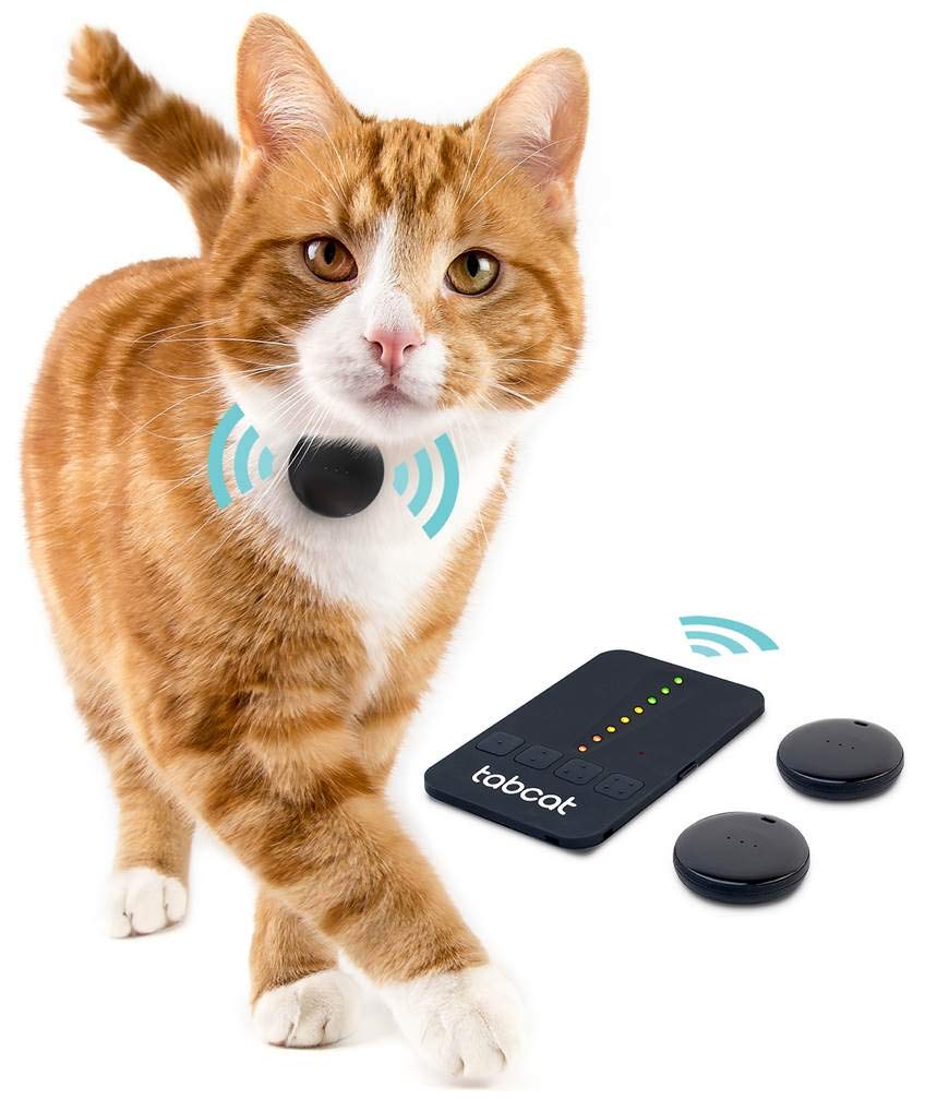 Using Tech to Give Your Pet a Better Quality of Life. 12