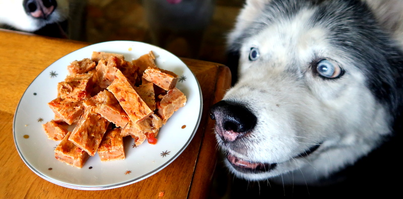 Best Tips to Feed Your Dog With Food He Doesn’t Like 3