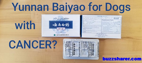 What Size Of Yunnan Baiyao Dosage Should Be Giving Your Sick Dog? 1