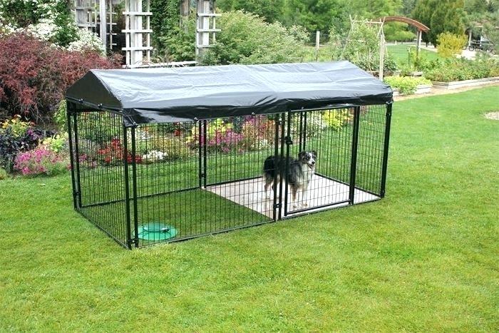 How Pets Can Enjoy Your Home Gazebo 22 How Pets Can Enjoy Your Home Gazebo 22
