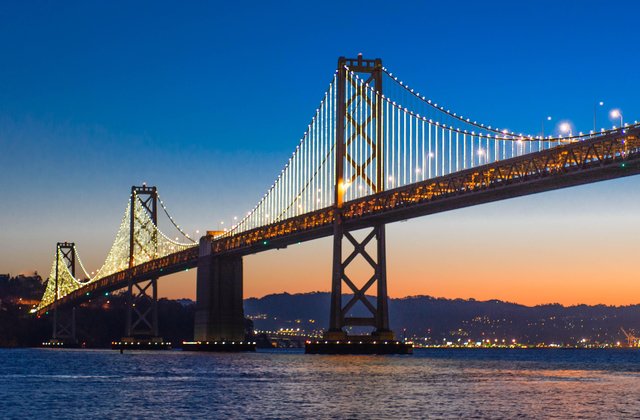 6 Dog-friendly attractions in San Francisco 7