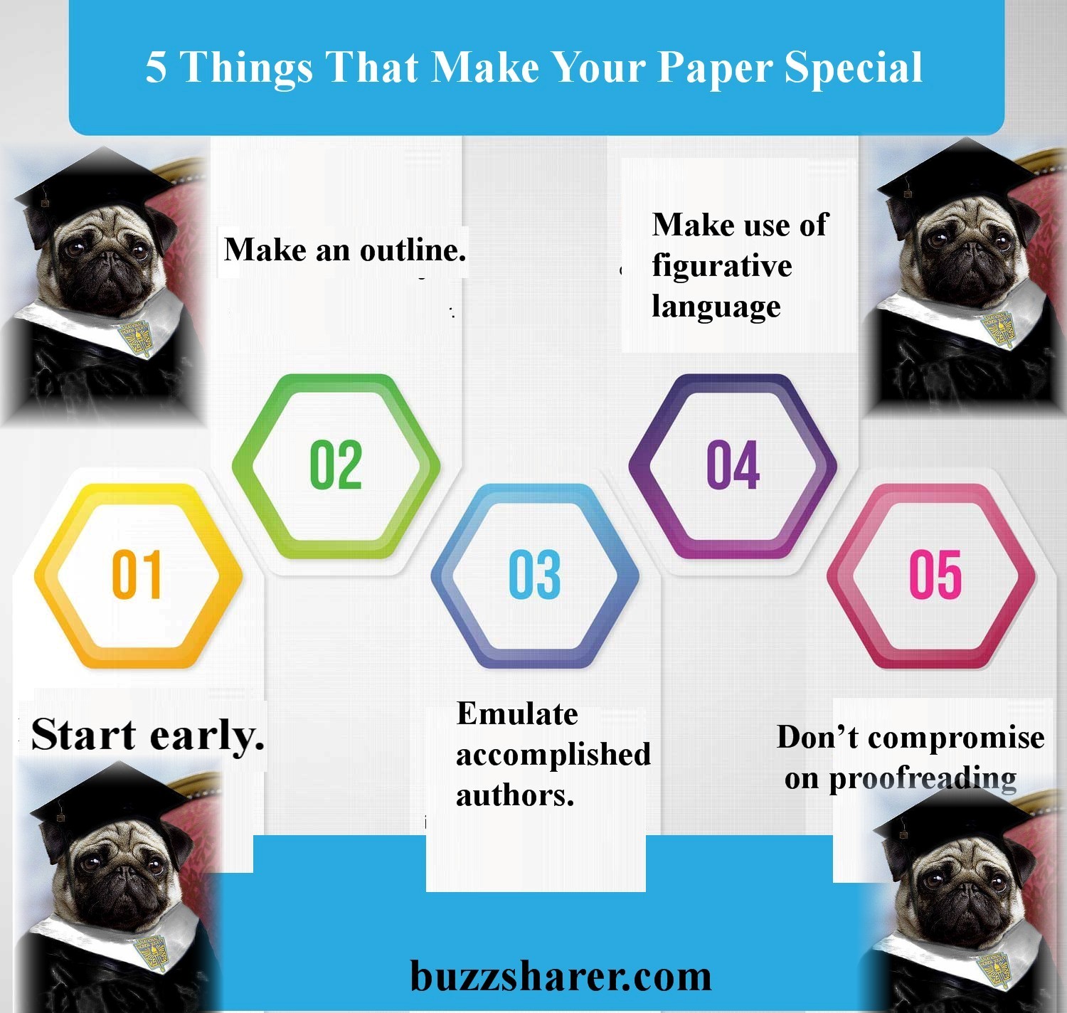How to Write an Essay about Your Pet Perfectly. Essay Structure 1