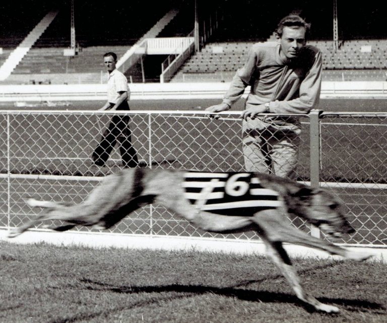 The History of Greyhound Racing in the UK