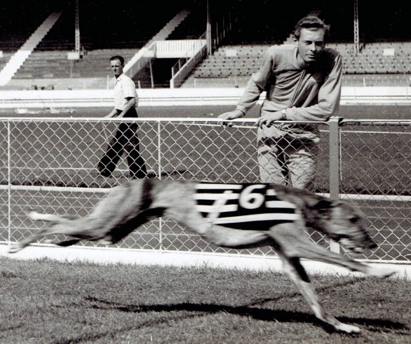 The History of Greyhound Racing in the UK 2