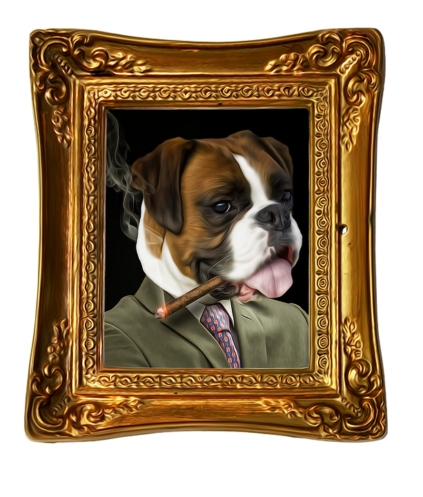 How To Get Custom Pet Portraits 2
