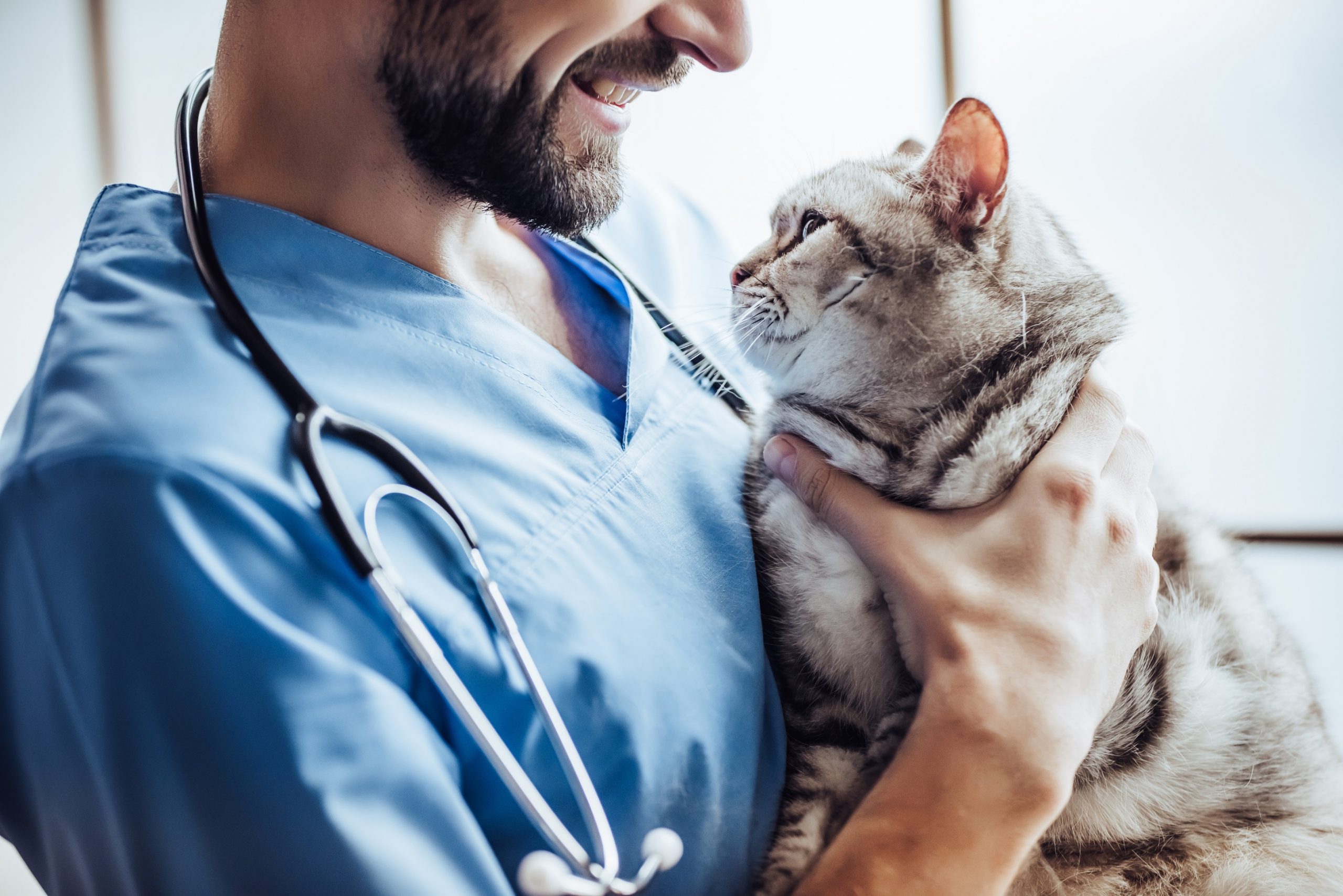 Signs You Need To See The Vet ASAP
