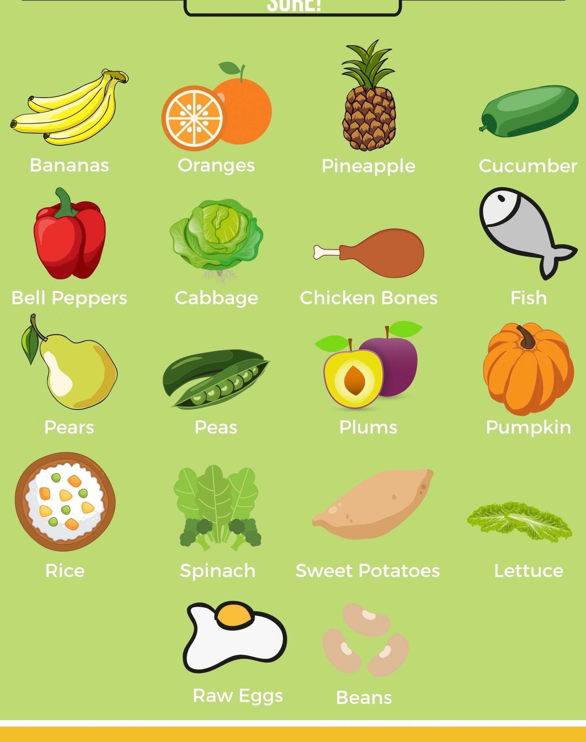 Human Foods that Are Safe (and Good) For Your Dogs