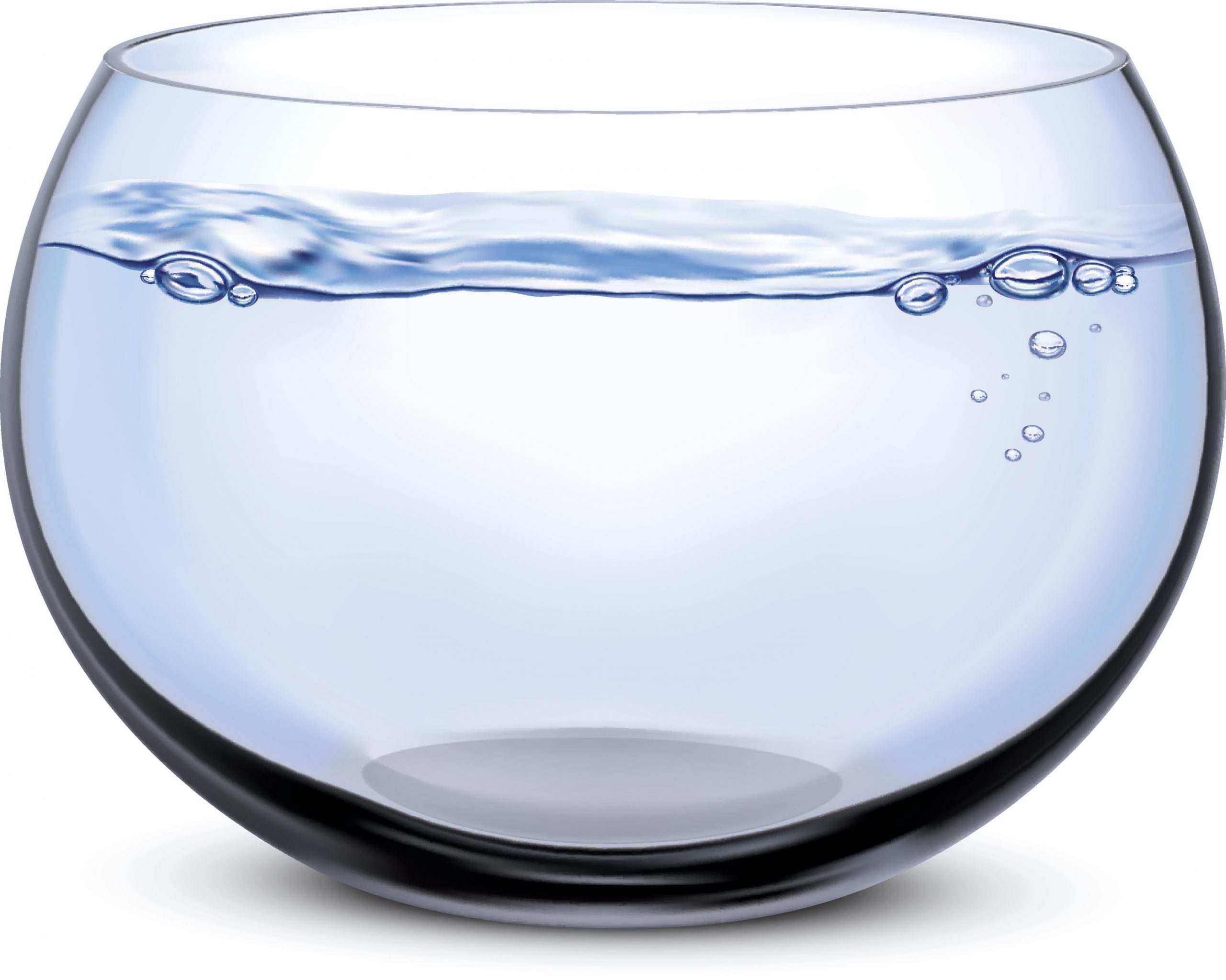 Maintain Clear Water Inside Your Aquarium