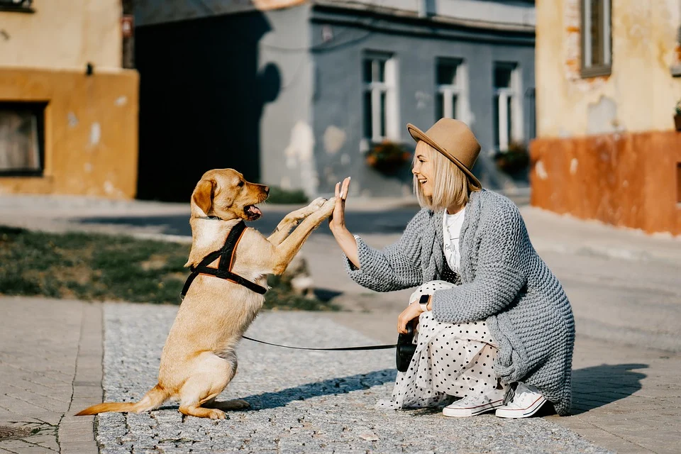 Emotional Support Animals (ESAs)