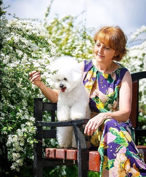 15 Pictures That Prove Bichon Frises Are Perfect Weirdos 9 15 Pictures That Prove Bichon Frises Are Perfect Weirdos 9