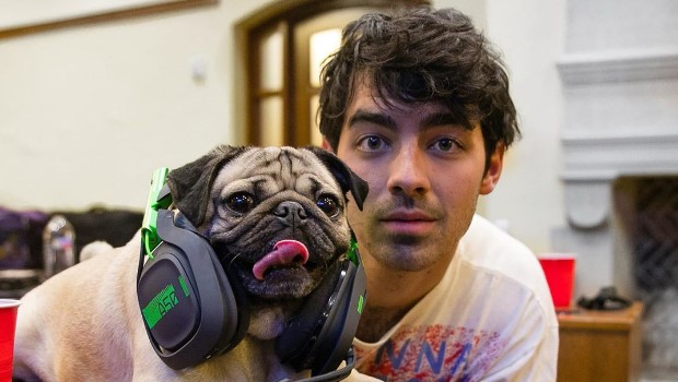 15 Celebrities Who Are Major Pug Lovers
