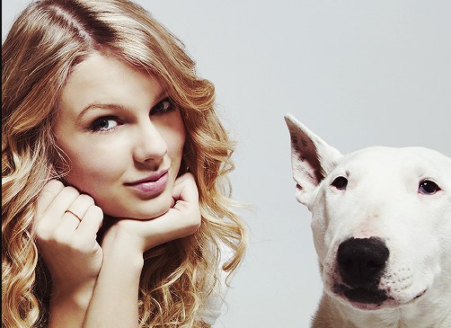 15 Celebrities Who Are Major English Bull Terrier Lovers