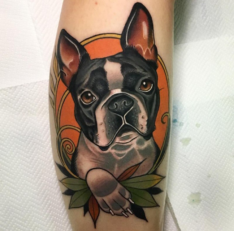 16 Boston Terrier Tattoo Ideas 5