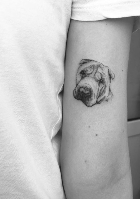 15 Ideas for Shar Pei Tattoo 9 15 Ideas for Shar Pei Tattoo 9