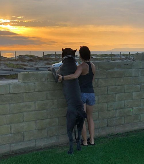 16 Pictures That Prove Cani Corsi Are Perfect Weirdos 11