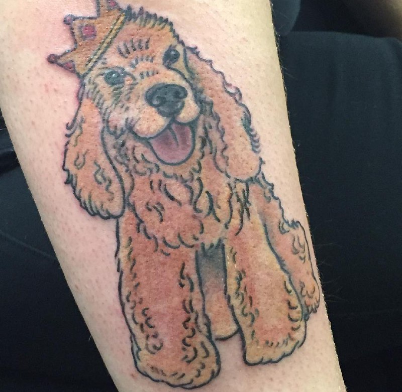 15 Cocker Spaniel Tattoo Ideas 9